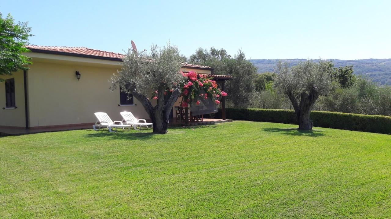 Villa Mimosa Tropea Рикади Екстериор снимка