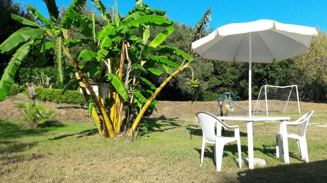 Villa Mimosa Tropea Рикади Екстериор снимка