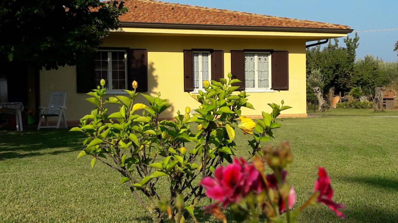 Villa Mimosa Tropea Рикади Екстериор снимка