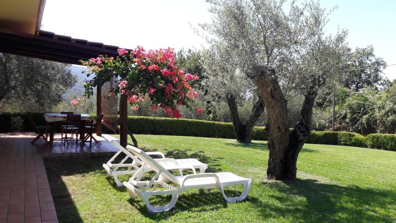 Villa Mimosa Tropea Рикади Екстериор снимка